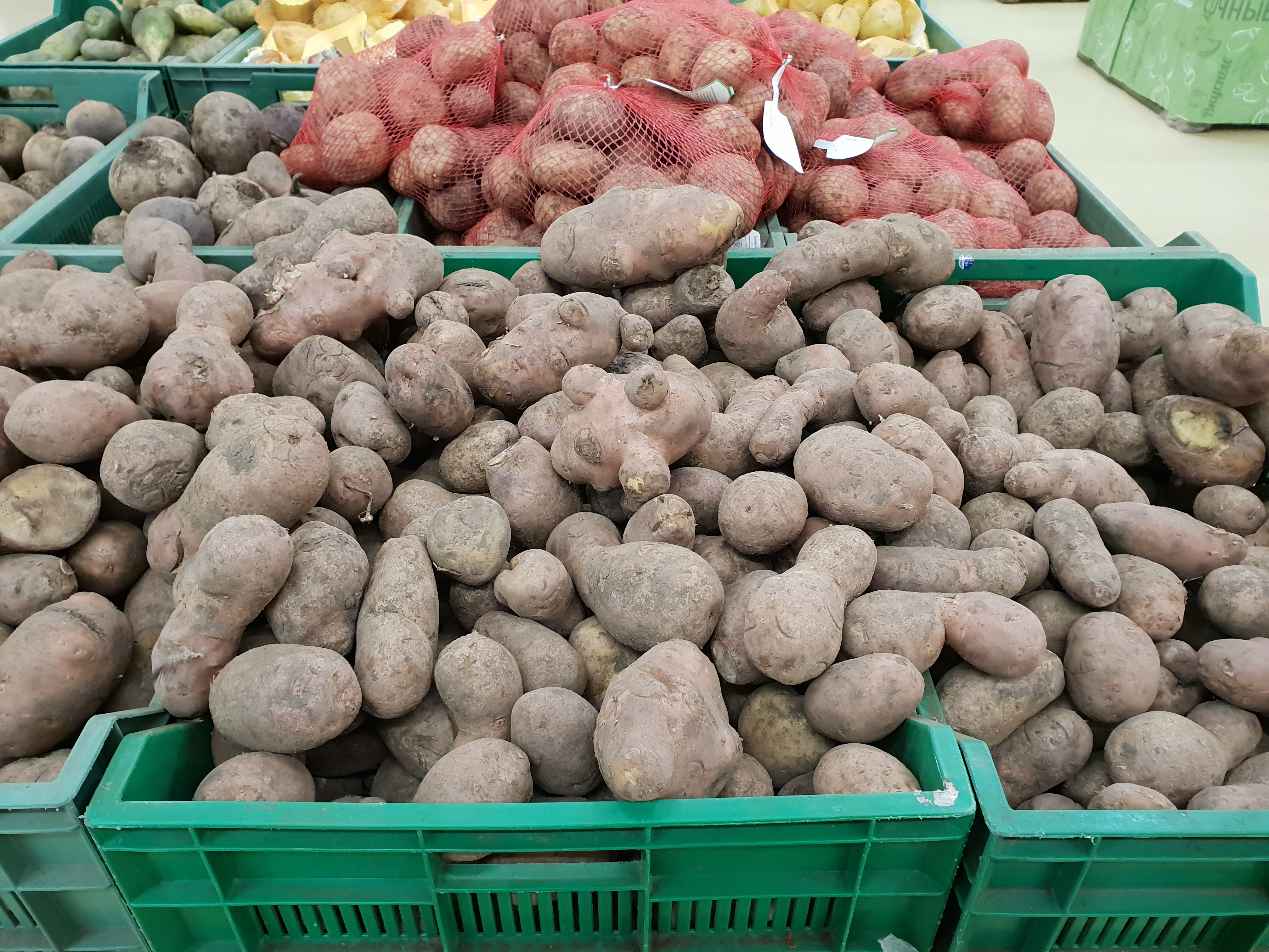 Дмитровские овощи картофель мытый